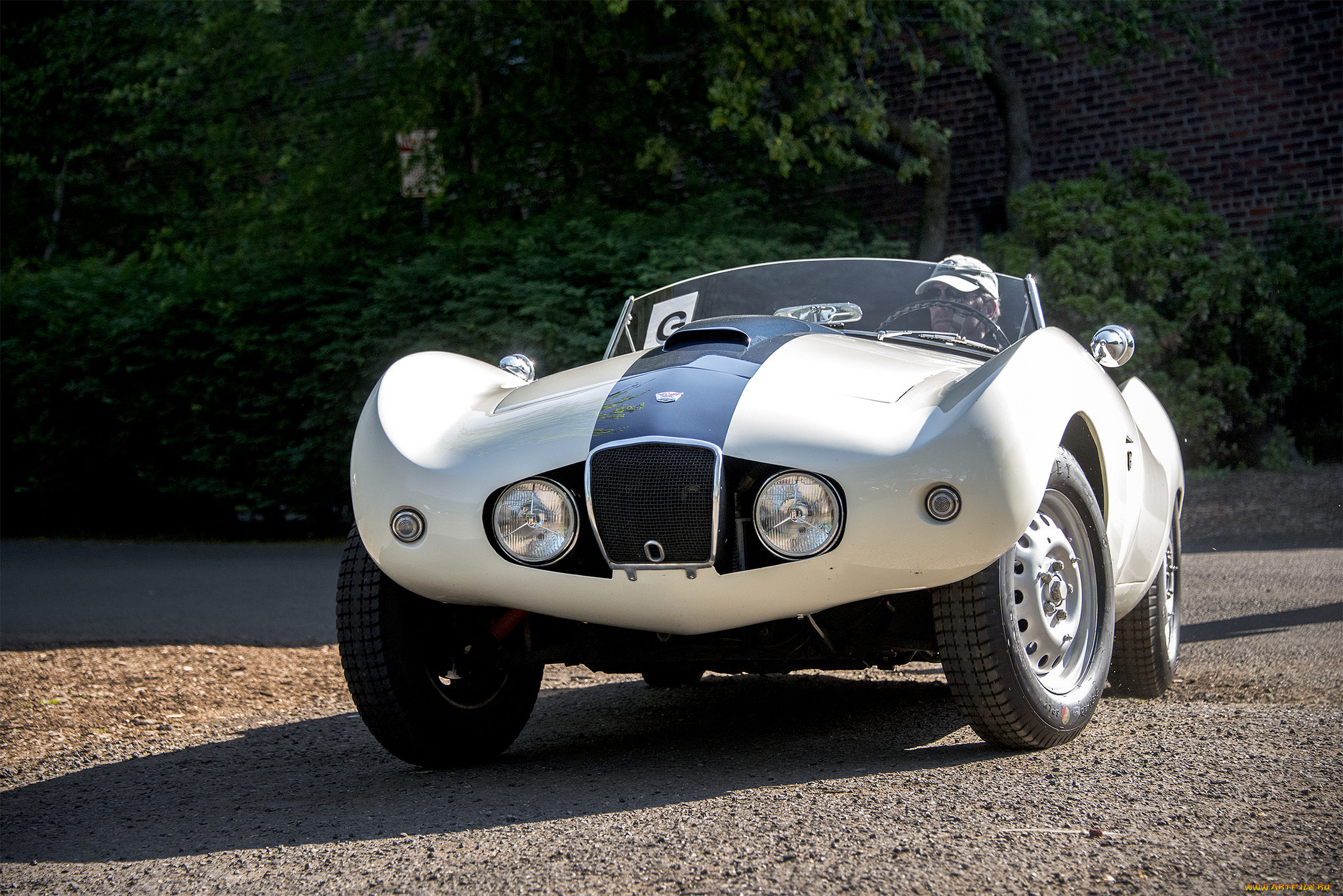 arnolt-bristol bolide, , bristol, , , 